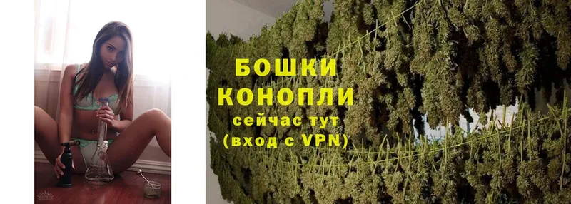 наркошоп  Болотное  МАРИХУАНА LSD WEED 